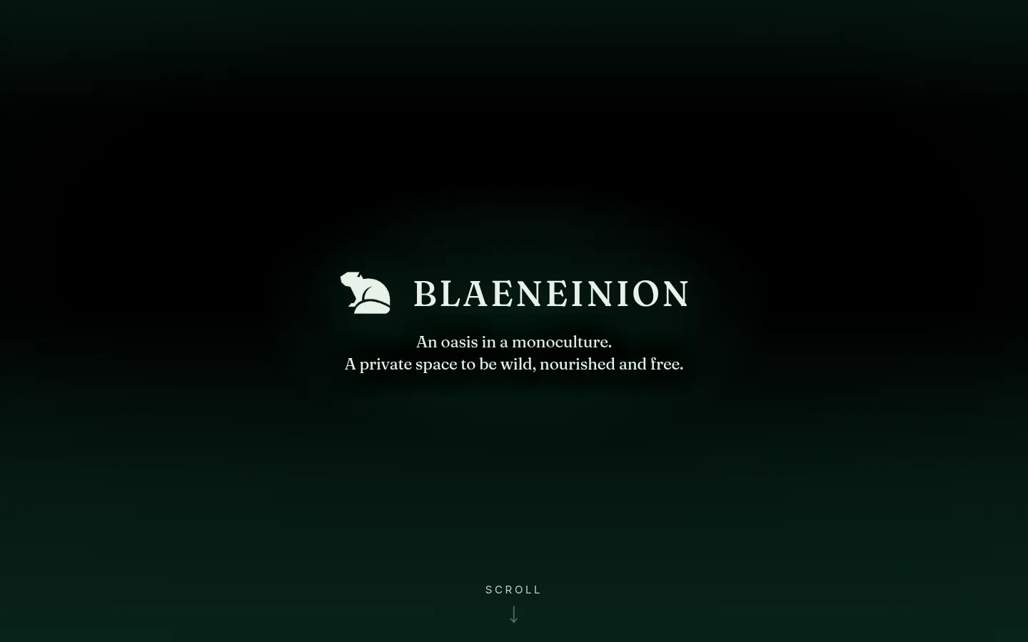 Blaeneinion valley homepage, with the beaver mark and an invitation to scroll into the conservation story.